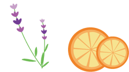 柑橘系の香り